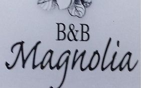Magnolia